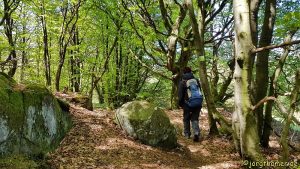 Bergmähwiesenpfad unterwegs