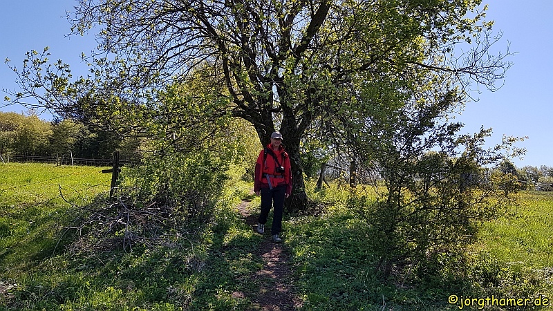Bergmähwiesenpfad