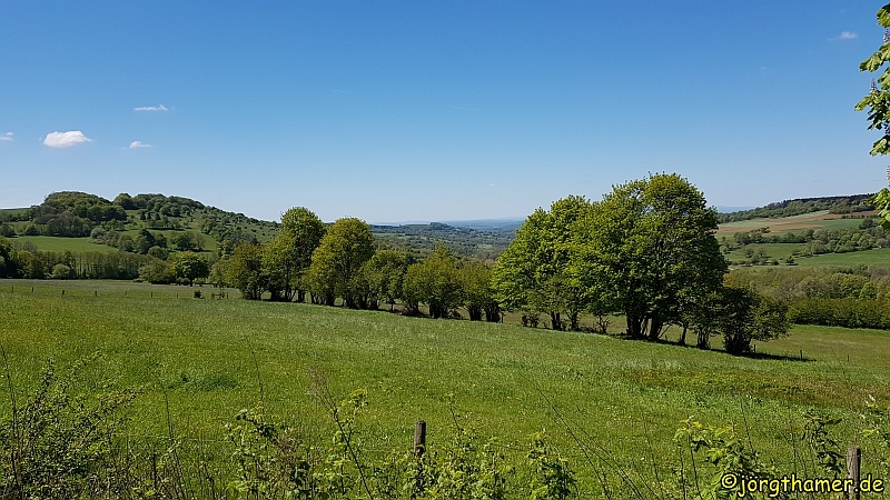 Weidelandschaft am Ernstberg