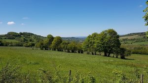 Weidelandschaft am Ernstberg