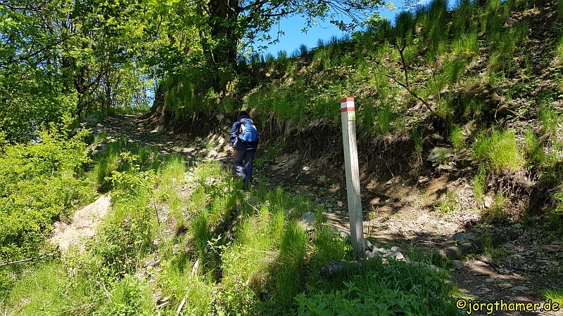Bergmähwiesenpfad bei Hartmannshain