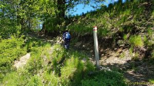 Bergmähwiesenpfad bei Hartmannshain