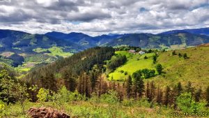 Camino del Norte - nordspanischer Küstenweg