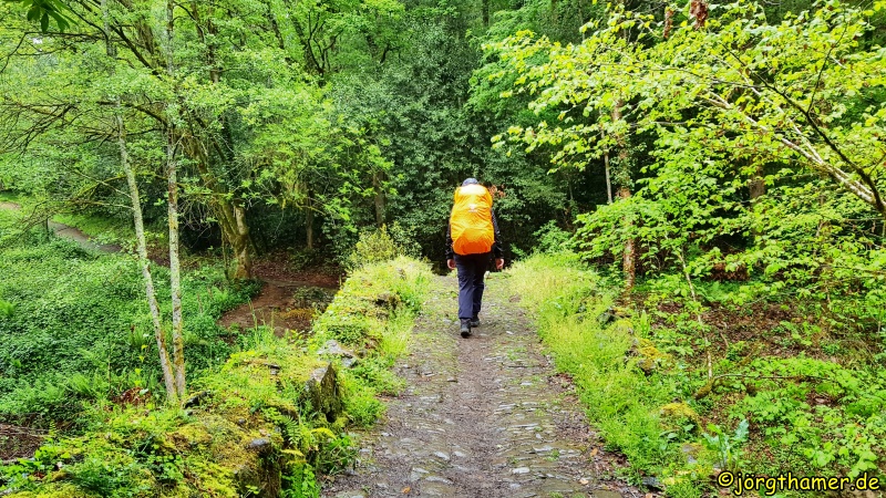 Camino del Norte
