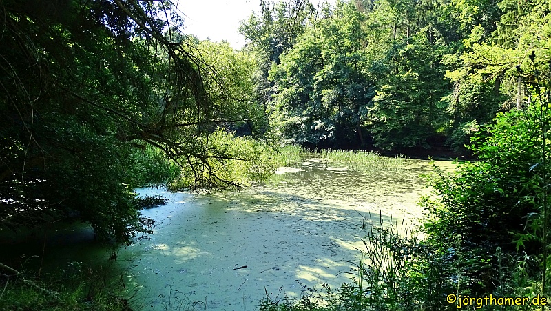 Küppeltour - Teich in der Nähe der Schaumburg