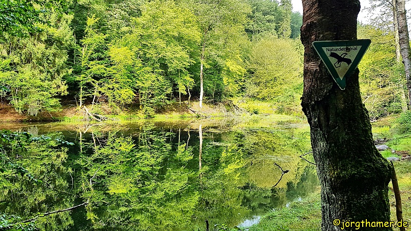 Wandern im Spessart - Bomigsee