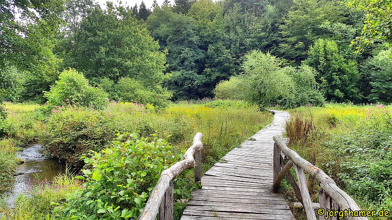 Holzbohlensteg im Hafenlohrtal