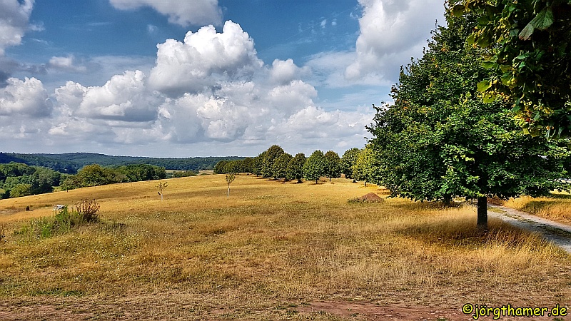 Panoramaweg Rothenbuch