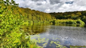 Schwarzer See im Naturpark Granitz
