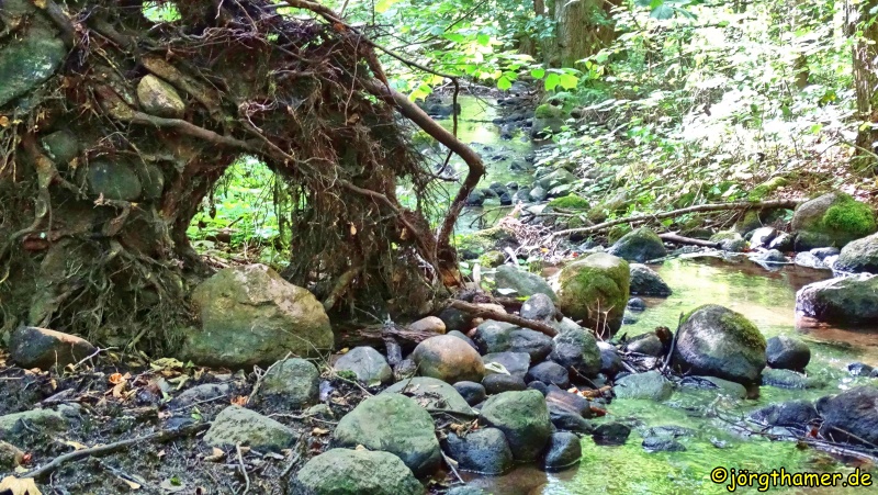 Wandern in Mecklenburg-Vorpommern - durchs Tal der Eisvögel