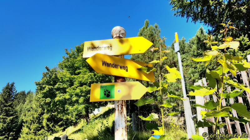 Foxtrail Davos Wanderweg
