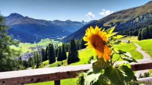 Foxtrail Davos - Blick von der Strela Alp