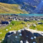Bergsee Albula-Alpen