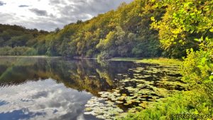 Natur pur am Schwarzen See (Naturpark Granitz)