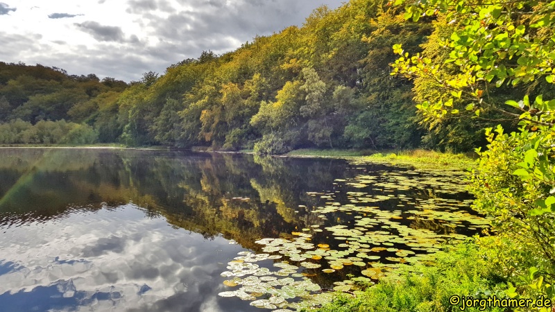 Natur pur am Schwarzen See (Naturpark Granitz)