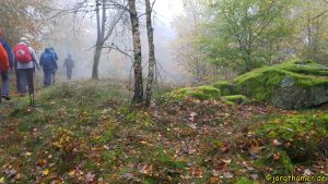 Saar-Hunsrück-Steig auf dem Wildenberg