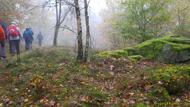 Saar-Hunsrück-Steig auf dem Wildenberg