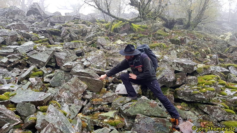Ranger Oliver erklärt die Blocksteinhalde