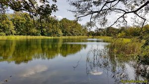 Wandern Mecklenburgische Seenplatte - Halbinsel Lehmwerder