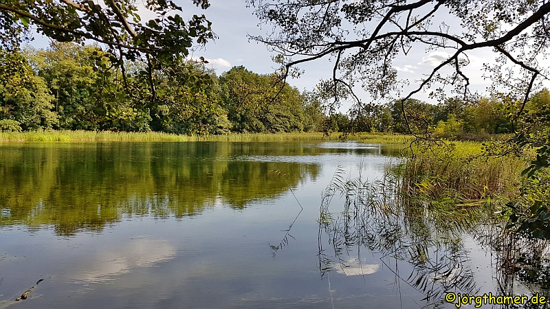 Wandern Mecklenburgische Seenplatte - Halbinsel Lehmwerder