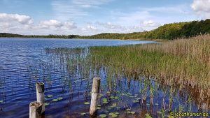 Wandern Mecklenburgische Seenplatte - Am Priesterbäker See