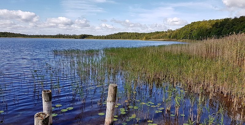 Wandern Mecklenburgische Seenplatte - Am Priesterbäker See
