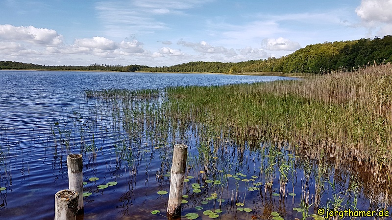 Wandern Mecklenburgische Seenplatte - Am Priesterbäker See