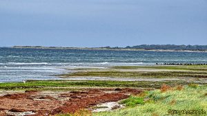 Langenwerder - Vogelparadies an der mecklenburgischen Ostseeküste
