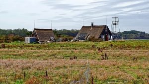 Wandern an der mecklenburgischen Ostseeküste - Langenwerder