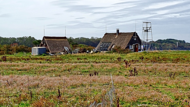 Wandern an der mecklenburgischen Ostseeküste - Langenwerder