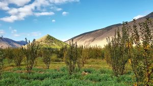 Wandern im Ait Bouguemez
