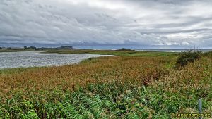 Wandern an der Mecklenburgischen Ostseeküste