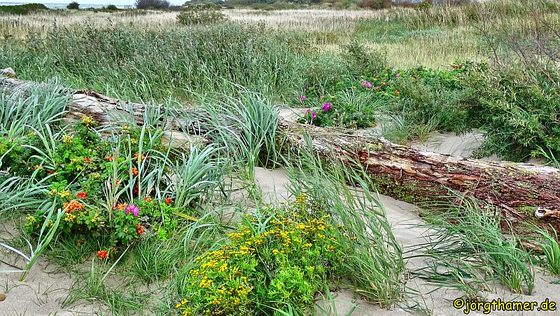 Wandern an der Mecklenburgischen Ostseeküste