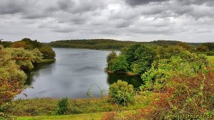 Panoramablick am Ziegelsee