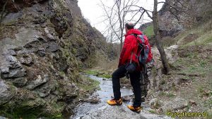 Keen Venture WP Wilde Sarka
