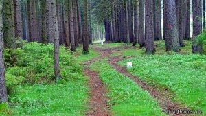 Deutsch-Tschechische Grenze bei Neualbenreuth