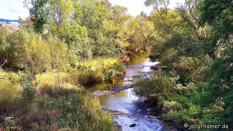 Flusslauf der Eder bei Hatzfeld