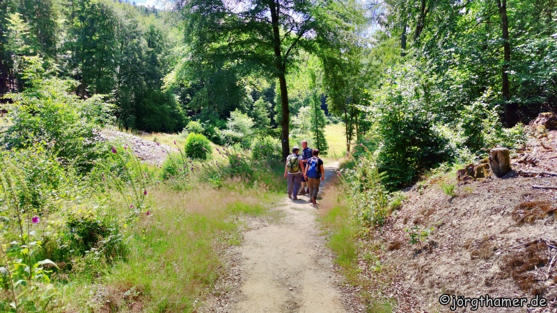 Abraumhalde Grube Rosit im Wispertaunus