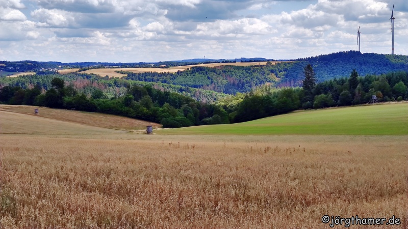 Taunusblick vom Wanderweg Naurother Grubengold