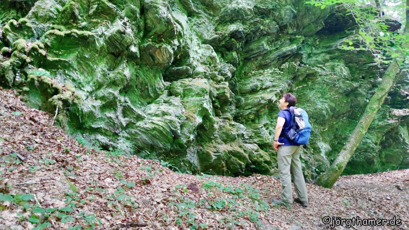 Wildweibchenslei Naurother Schweiz