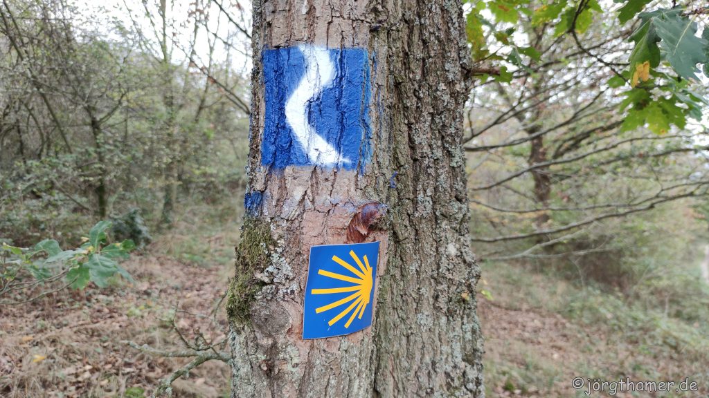 Wandern im Mittelrheintal - Wegelogo Rheinsteig