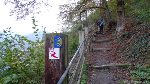 Wandern im Mittelrheintal
