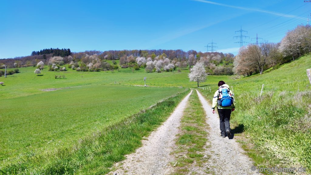 Wandern im Breisiger Ländchen