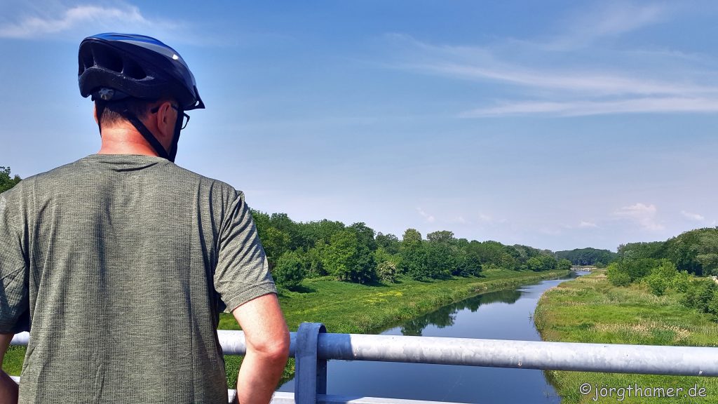 Natur am Donauradweg