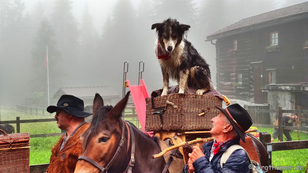 Regen auf der Via Valtellina