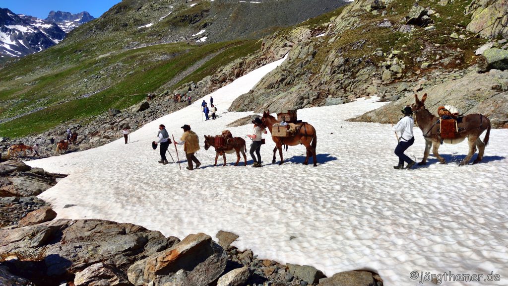 Via Valtellina Schneefeld Scalettapass