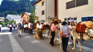 Säumertrekking Via Valtellina - Revision