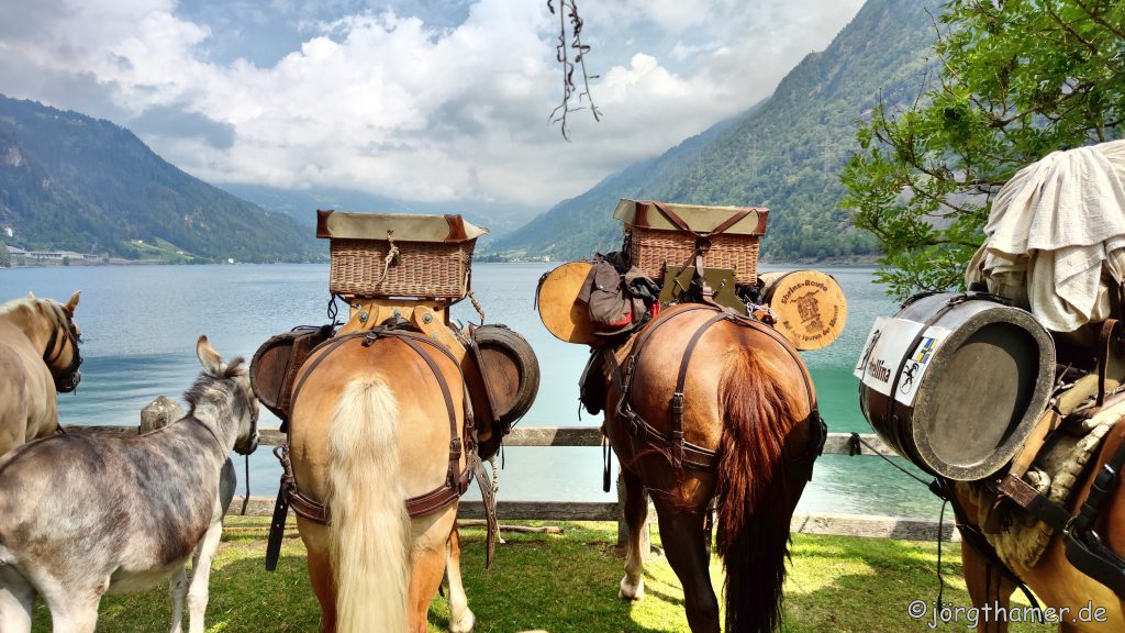 Am Lago di Poschiavo