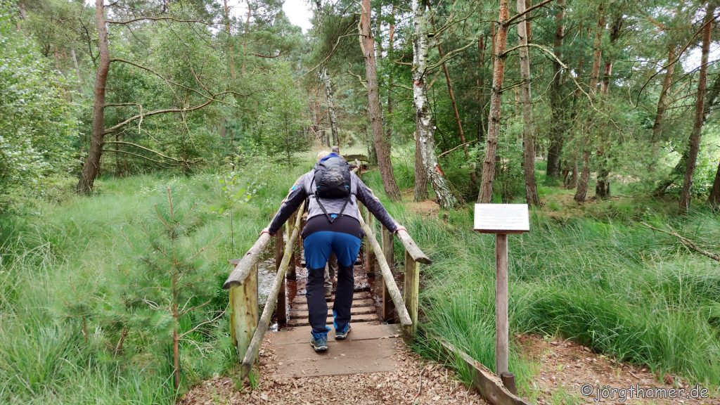 Nordpfad Dör´t Moor - Schwingrasenbrücke