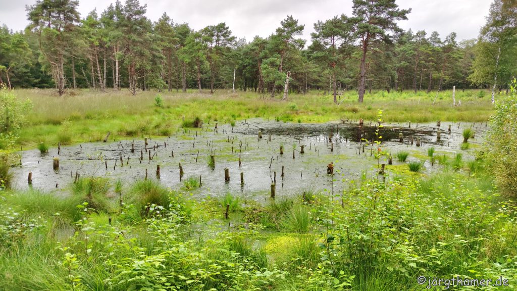 Nordpfad Dör´t Moor